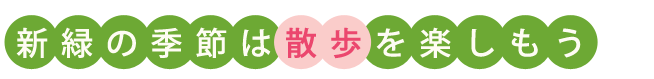 新緑の季節は散歩を楽しもう