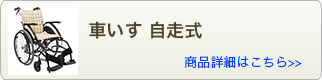 車いす自走式
